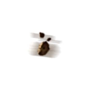Asteroid
